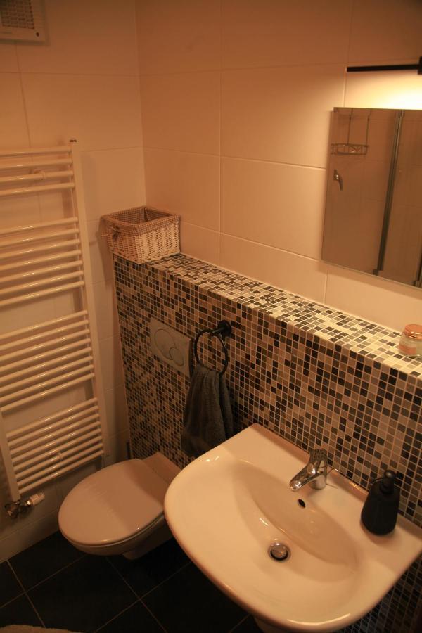 Apartment Vila Aston ヴェルカー・ロムニツァ エクステリア 写真